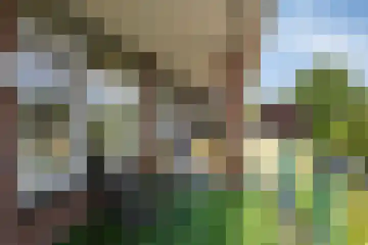 Tuinstraat 15 109 Holten thumbnail 7