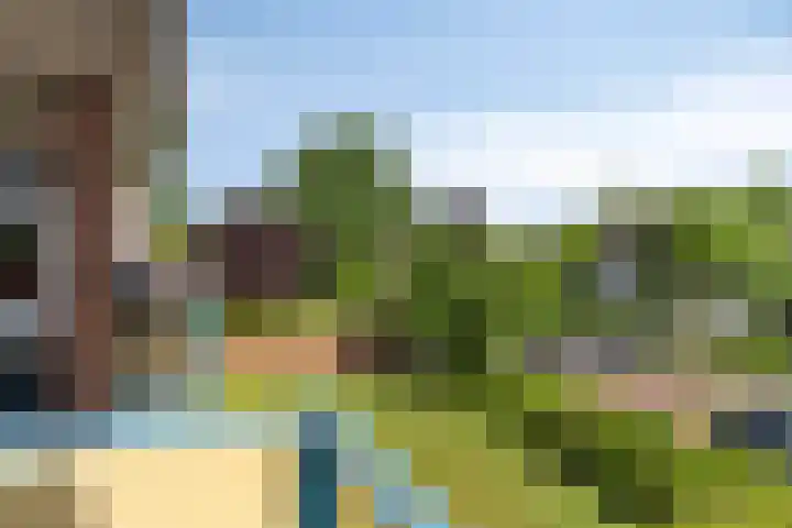 Tuinstraat 15 109 Holten thumbnail 8