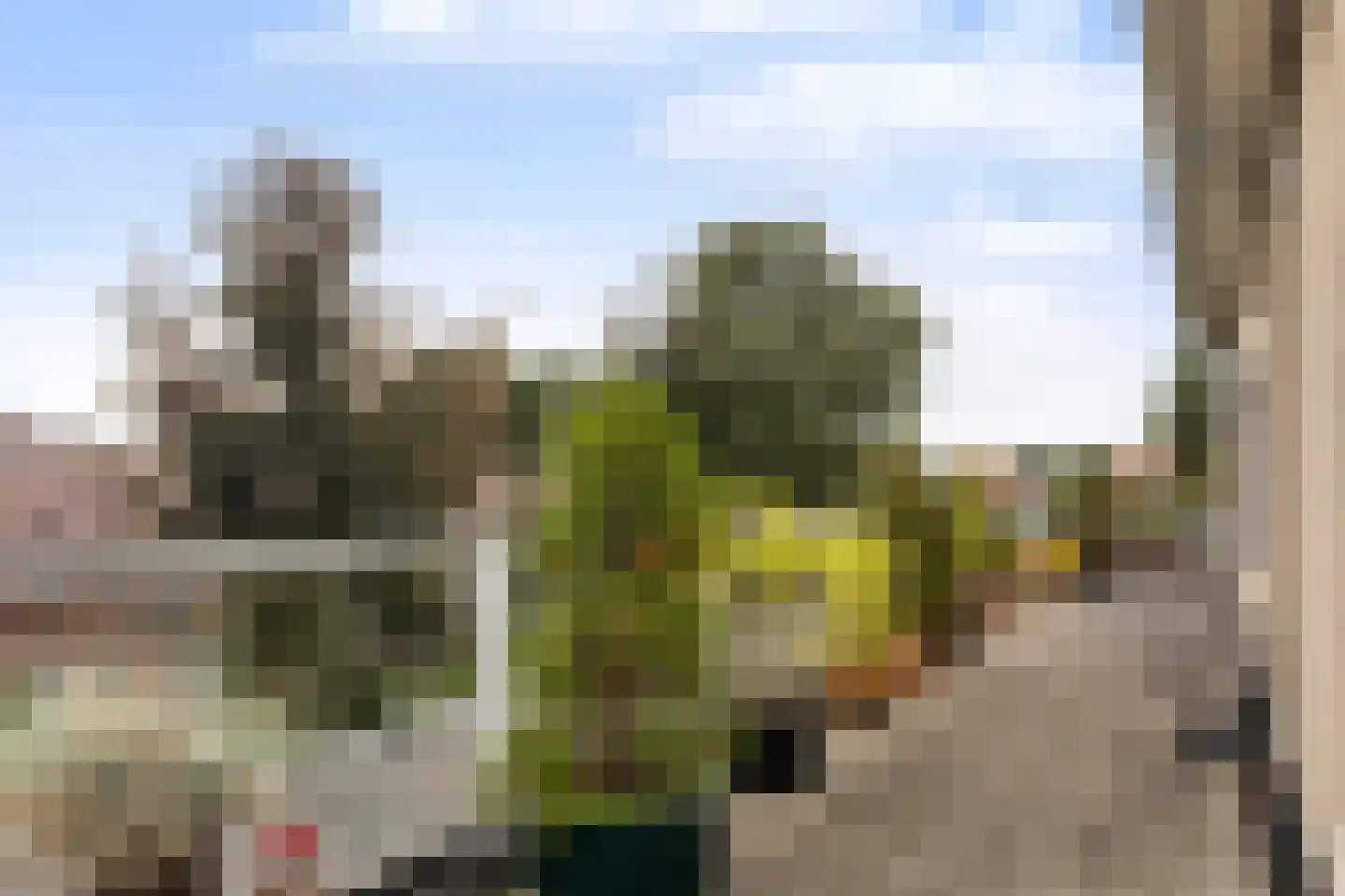 Tuinstraat 15 201 Holten thumbnail 23