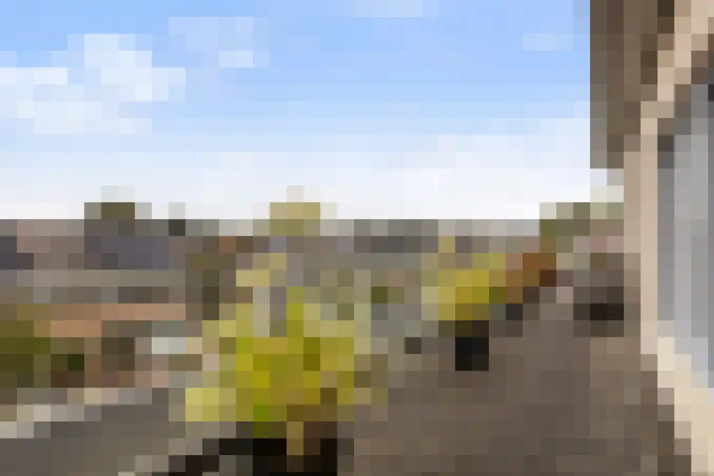 Tuinstraat 15 201 Holten thumbnail 25