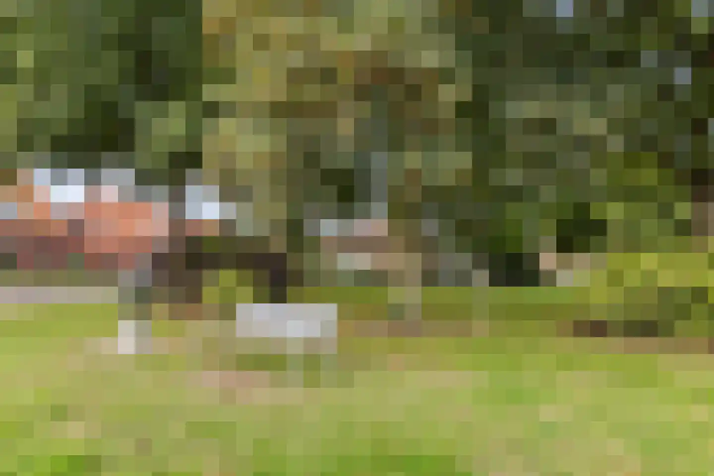 Tuinstraat 15 201 Holten thumbnail 23