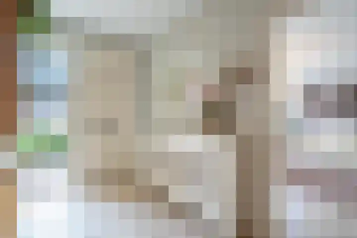 Tuinstraat 16 Beek en Donk thumbnail 10