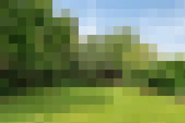 Tuinstraat 16 Beek en Donk thumbnail 102