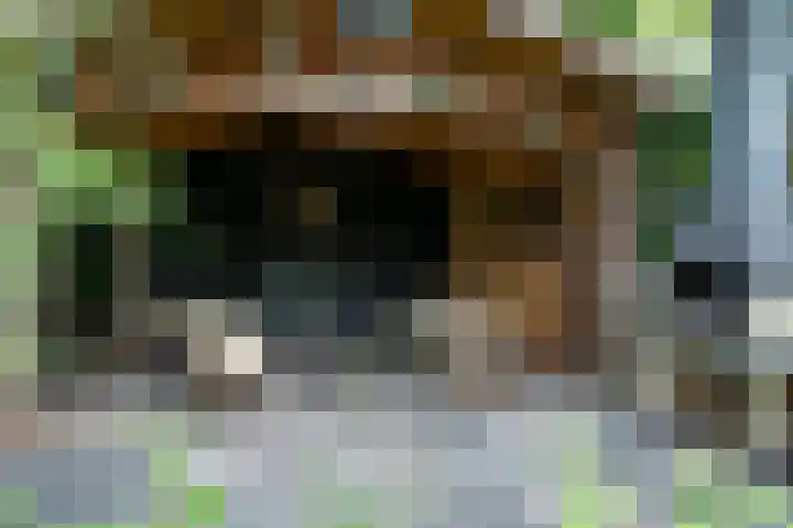 Tuinstraat 16 Beek en Donk thumbnail 103