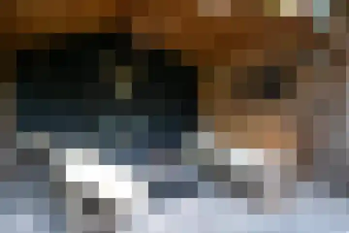 Tuinstraat 16 Beek en Donk thumbnail 104