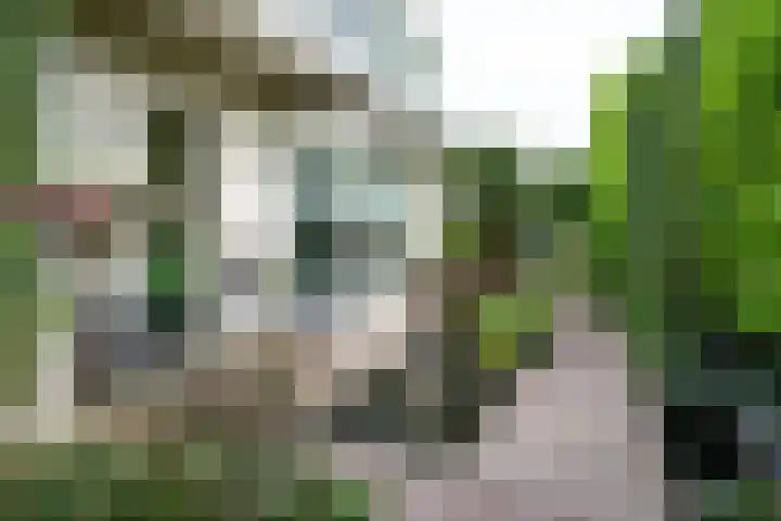 Tuinstraat 16 Beek en Donk thumbnail 105