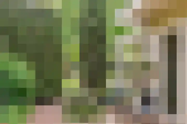 Tuinstraat 16 Beek en Donk thumbnail 106