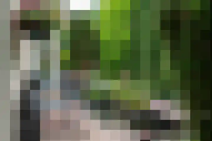 Tuinstraat 16 Beek en Donk thumbnail 107
