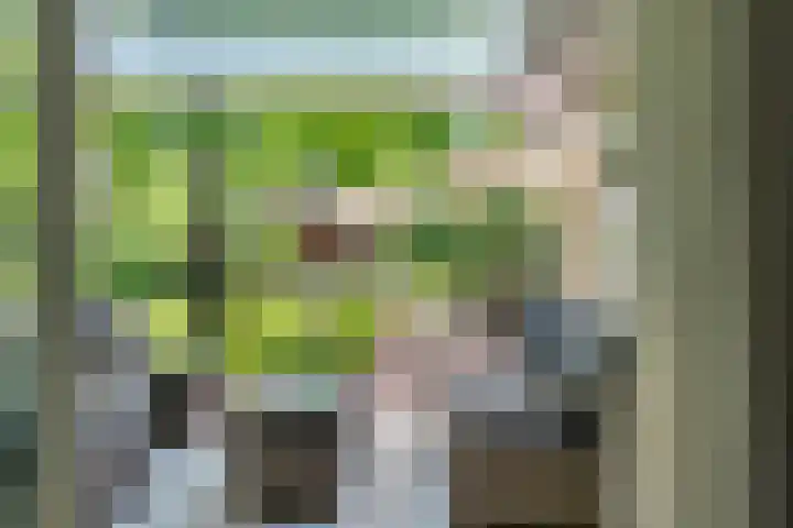 Tuinstraat 16 Beek en Donk thumbnail 108
