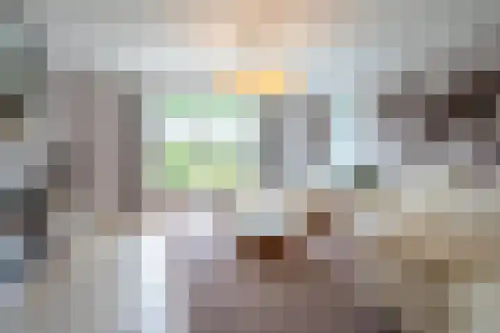 Tuinstraat 16 Beek en Donk thumbnail 11