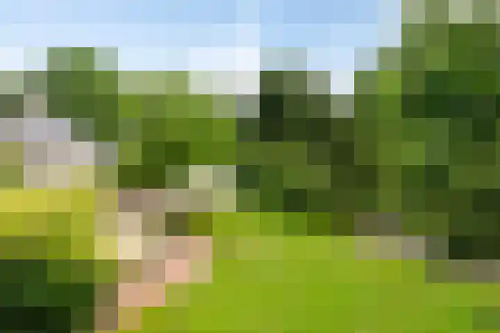 Tuinstraat 16 Beek en Donk thumbnail 113