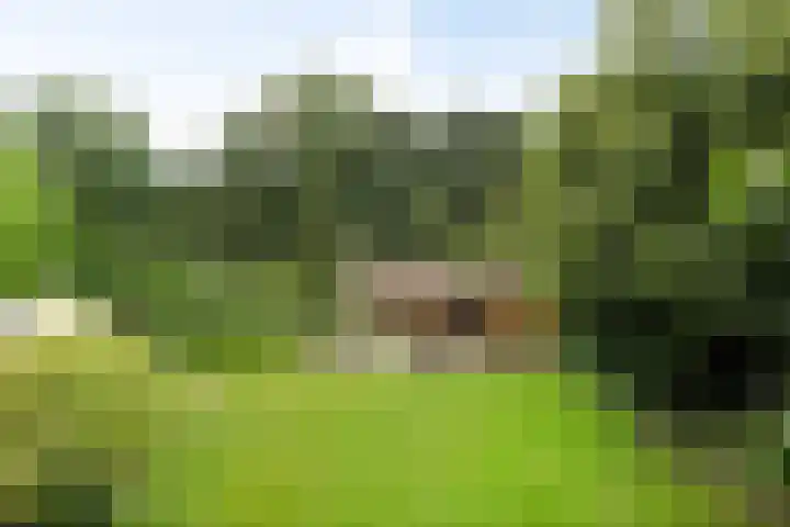 Tuinstraat 16 Beek en Donk thumbnail 114