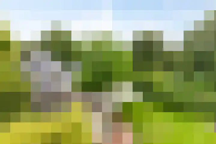 Tuinstraat 16 Beek en Donk thumbnail 115