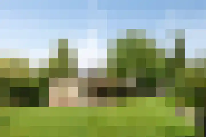 Tuinstraat 16 Beek en Donk thumbnail 116