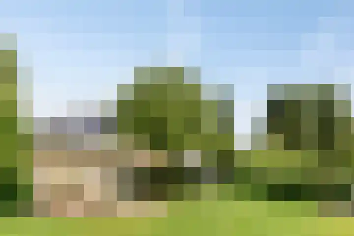 Tuinstraat 16 Beek en Donk thumbnail 117