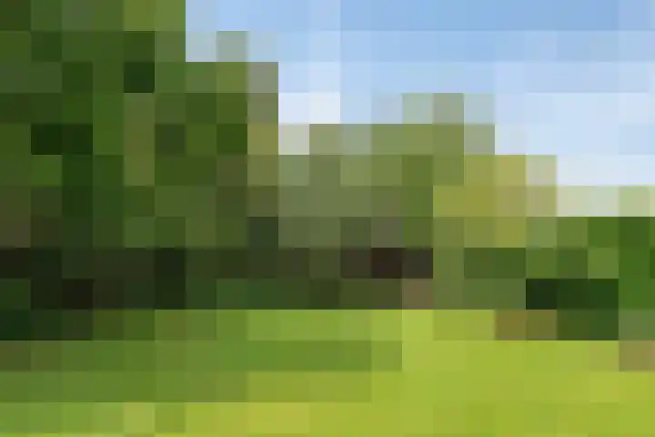 Tuinstraat 16 Beek en Donk thumbnail 118
