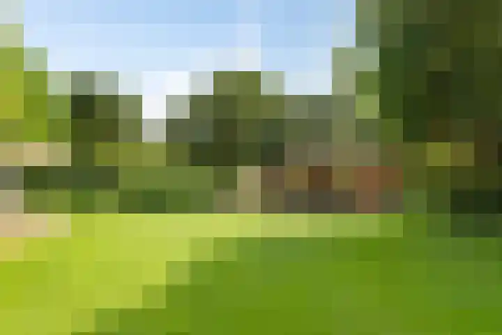 Tuinstraat 16 Beek en Donk thumbnail 119