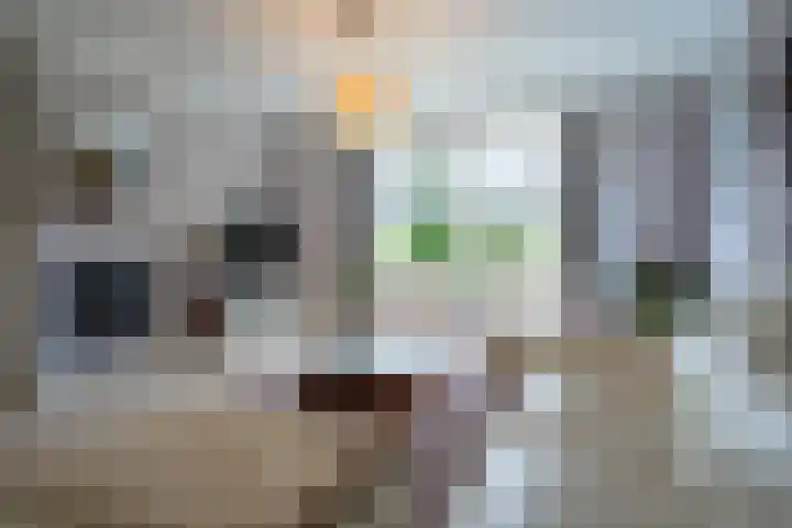 Tuinstraat 16 Beek en Donk thumbnail 12