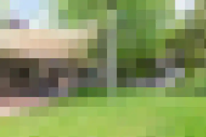 Tuinstraat 16 Beek en Donk thumbnail 125