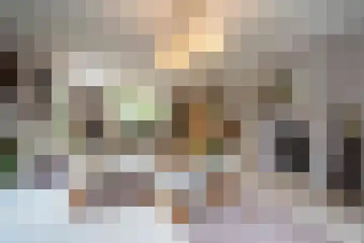 Tuinstraat 16 Beek en Donk thumbnail 13