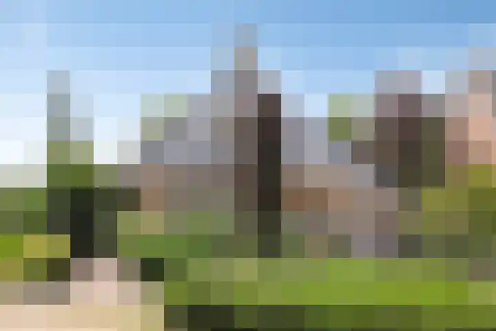 Tuinstraat 16 Beek en Donk thumbnail 134
