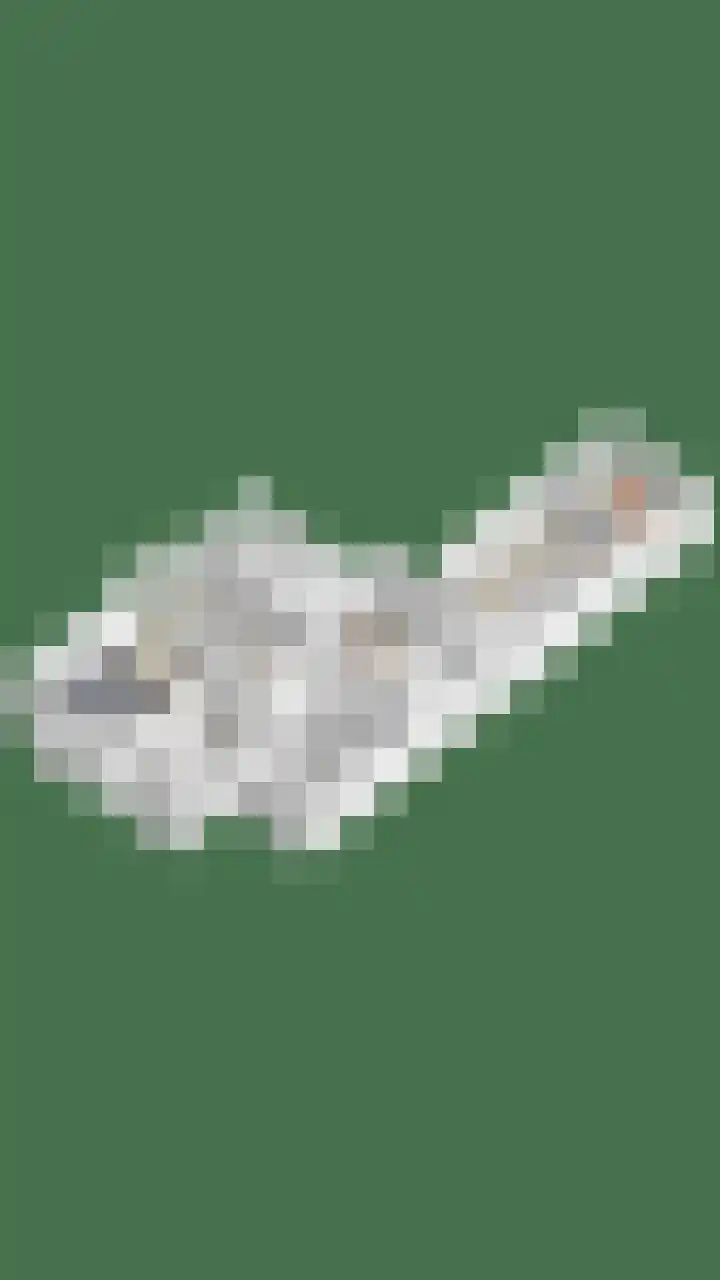 Tuinstraat 16 Beek en Donk thumbnail 141