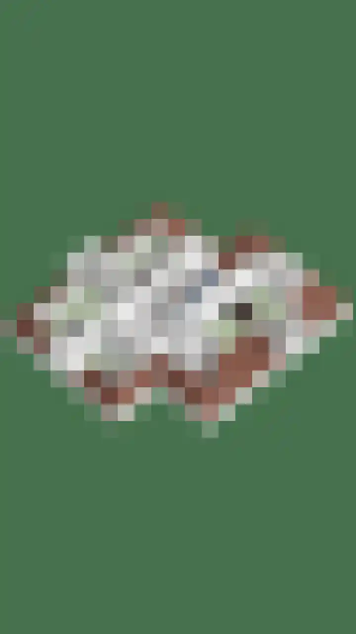 Tuinstraat 16 Beek en Donk thumbnail 143