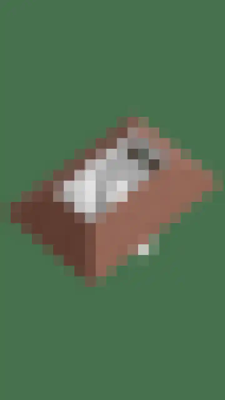 Tuinstraat 16 Beek en Donk thumbnail 145