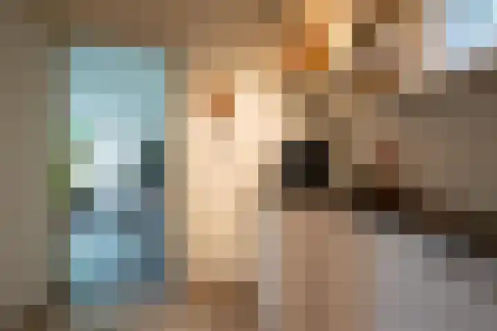 Tuinstraat 16 Beek en Donk thumbnail 29