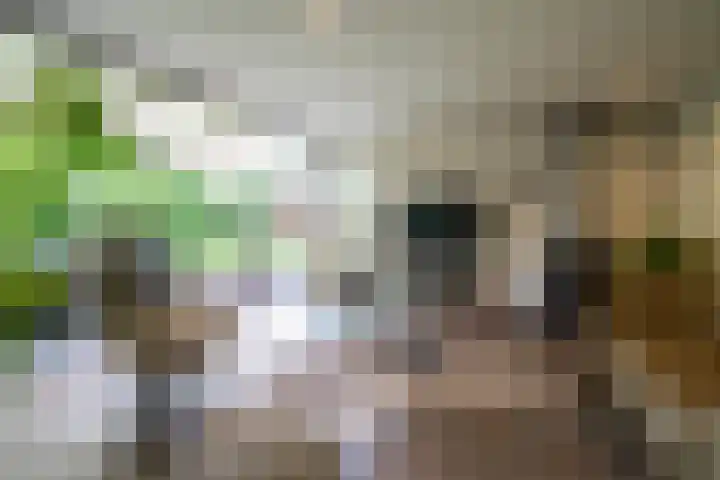 Tuinstraat 16 Beek en Donk thumbnail 31