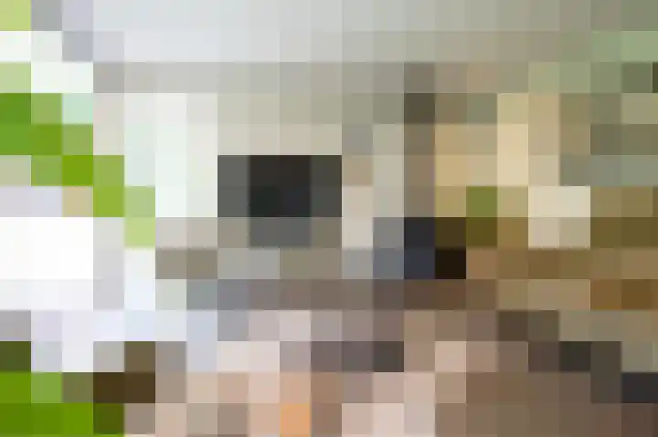 Tuinstraat 16 Beek en Donk thumbnail 32