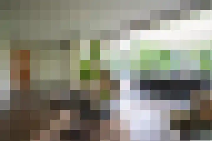 Tuinstraat 16 Beek en Donk thumbnail 34