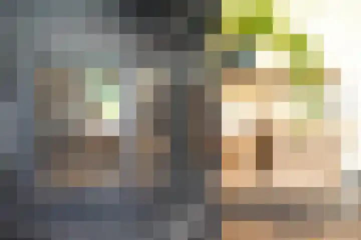 Tuinstraat 16 Beek en Donk thumbnail 35