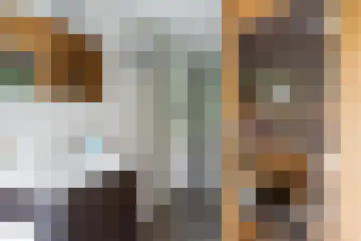 Tuinstraat 16 Beek en Donk thumbnail 36