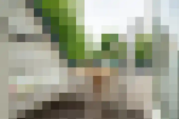 Tuinstraat 16 Beek en Donk thumbnail 49