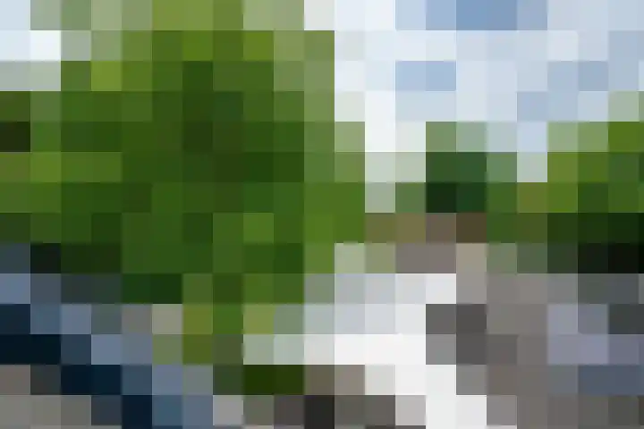Tuinstraat 16 Beek en Donk thumbnail 50