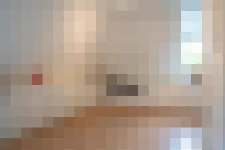 Tuinstraat 16 Beek en Donk thumbnail 53