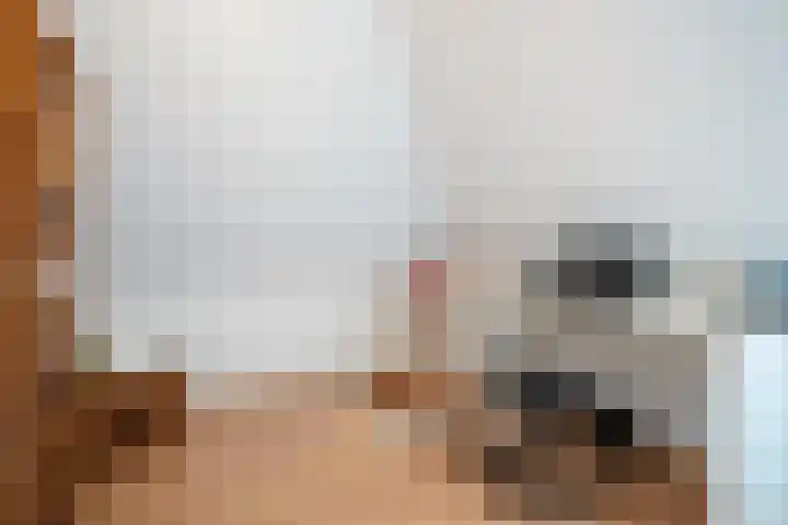 Tuinstraat 16 Beek en Donk thumbnail 55