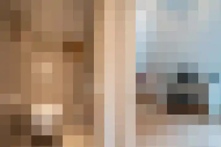 Tuinstraat 16 Beek en Donk thumbnail 57