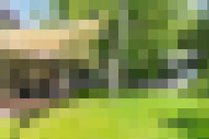 Tuinstraat 16 Beek en Donk thumbnail 6