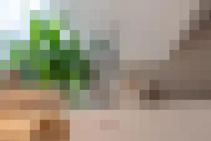 Tuinstraat 16 Beek en Donk thumbnail 61