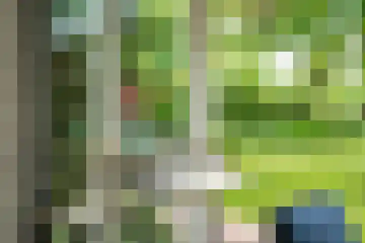 Tuinstraat 16 Beek en Donk thumbnail 65