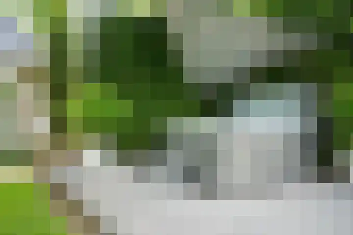 Tuinstraat 16 Beek en Donk thumbnail 66