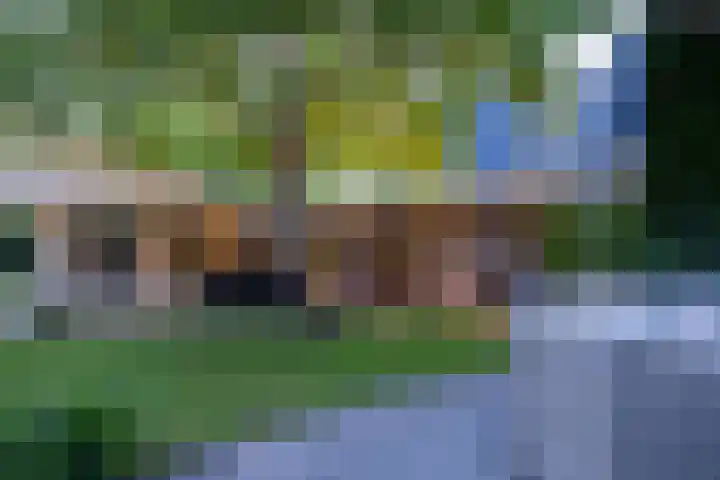 Tuinstraat 16 Beek en Donk thumbnail 69