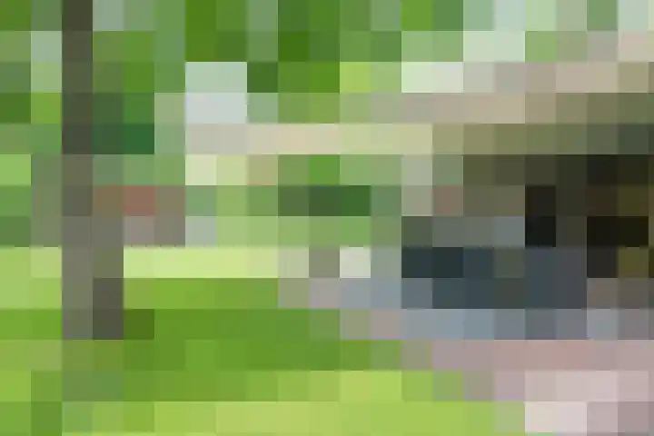 Tuinstraat 16 Beek en Donk thumbnail 72