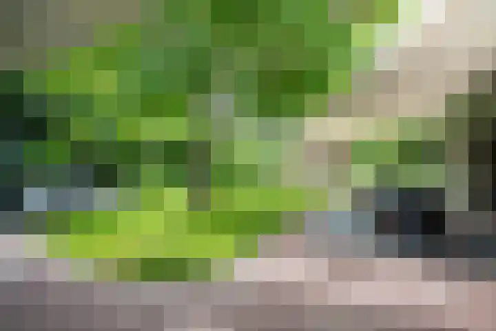 Tuinstraat 16 Beek en Donk thumbnail 73