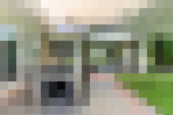 Tuinstraat 16 Beek en Donk thumbnail 74