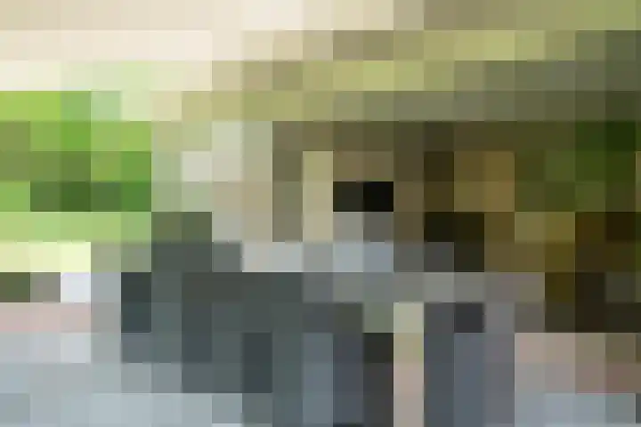 Tuinstraat 16 Beek en Donk thumbnail 75