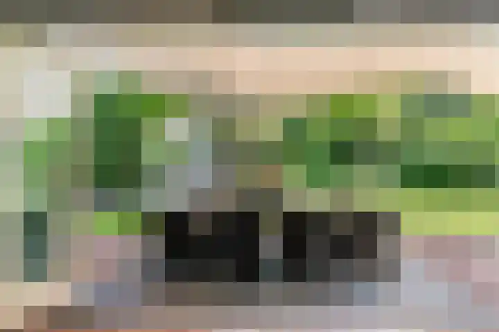 Tuinstraat 16 Beek en Donk thumbnail 76