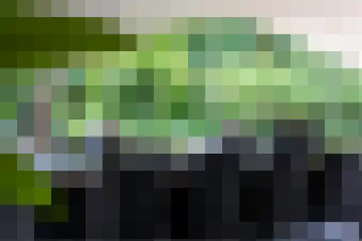 Tuinstraat 16 Beek en Donk thumbnail 77